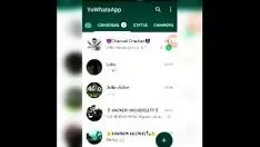 चलाएँ फ़्रंटहोल्ड बायलोबो कैसे करें
