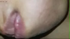 Reproduzir Assfuck albizia samatha orifício