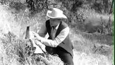 Redare R. a fericilor binecuvântate (1959)