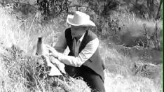 Redare R. a fericilor binecuvântate (1959)