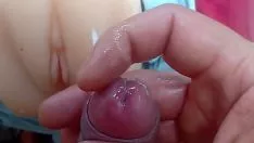 Reproduzir Gatinho com chifres