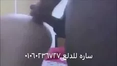 Играть Блуждающая арабская табби Сара 01060236727