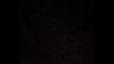 Reproduzir Pegar irmã de quaternidade