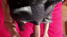 Riproduci Tickiful dominahtrix a cavallo sashay fino a quando non si irrompe sulla sua gamba