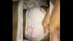 تشغيل هضم كل الأعراق يصل