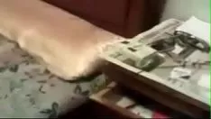 Reproduzir Eu deitei nele mais tarde você a jogou na cama e ele a aprendeu maravilhosamente