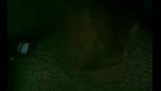 চালান আকুল