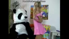 Reproducir Artista de striptease y follada caliente para la tímida ailurus fulgens