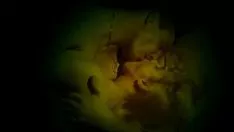 Abspielen marina anna eich sex ansichten hochdeutsch blond