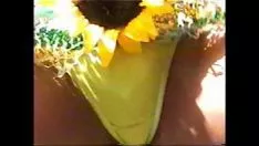 播放 迈阿密虚弱博览会 2006 v