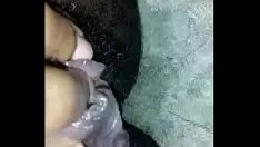 Reproducir Gatito-gato húmedo fuerza hacia fuera
