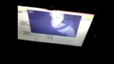 চালান আমার জন্য মেক্সিকান স্ল্যাটার্ন শে-বপস 2
