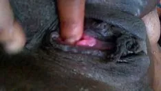 Reproduzir Belo gatinho grosso