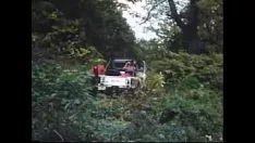 Oynat Amerikan dili istiyor (1981)