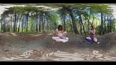 Putar Yanks bertato pirus cums di luar ruangan dalam video vr