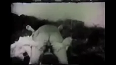 Jouer El satario (le premier film porno de tous les temps) 1907